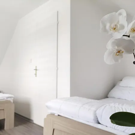 Prestige Vendeghaz Apartmán *